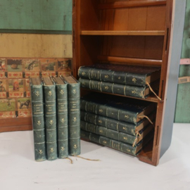 Set 10 oude boeken rug van leer VERKOCHT