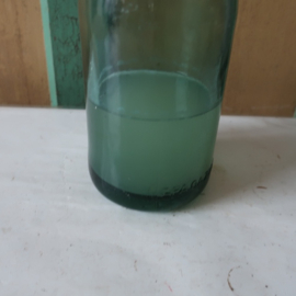 Spuitwaterfles groen Apa gazoasa stas 3377-52