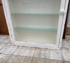 Vitrine kast wit pronk sier wand boeken