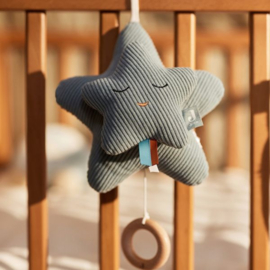 Muziekhanger star sea green
