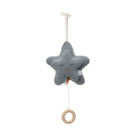 Muziekhanger star sea green