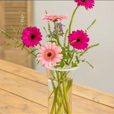 Bloemenschikker wit 10cm – duurzaam en creatief bloemschikken10cm