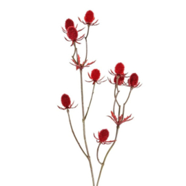 Disteltak rood 43cm