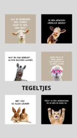 Tegeltje "Praat"