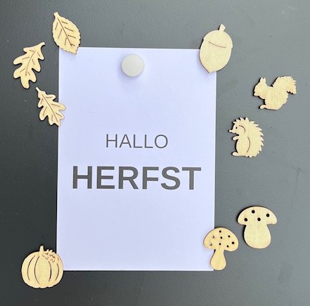 Herfstfiguren 9 stuks