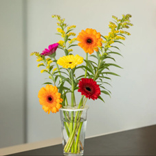 Bloemenschikker wit 10cm – duurzaam en creatief bloemschikken10cm