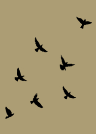 Kaart vogels