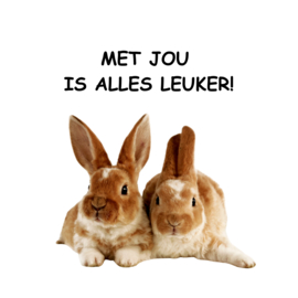 Tegeltje "Leuker"
