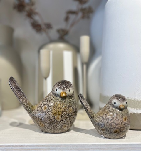 Vogel groot