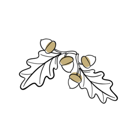 Vierkante wenskaart Eikeltjes van natuurkarton – 9,8 x 9,8 cm