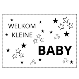 Kaart welkom kleine baby