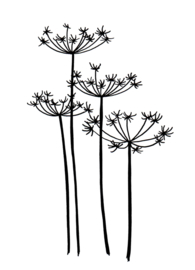 Kaart bloemen wit zwart