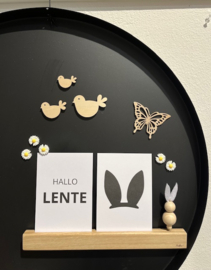 Magneet margrietjes 5 stuks