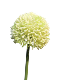 Kunstbloem Allium wit