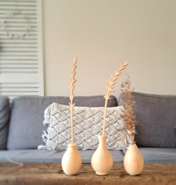 Lavendel takjes 3 stuks 17 en 20cm