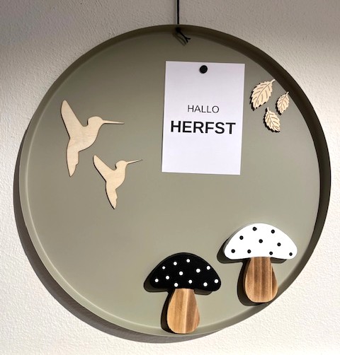 Magneet paddenstoel zwart 10cm