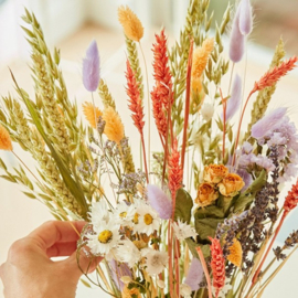 Droogbloemen veldboeket lavendel perzik