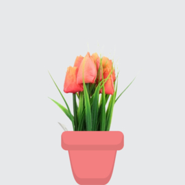 Kunsttulpen oranje in verpakking