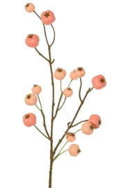 Appeltak