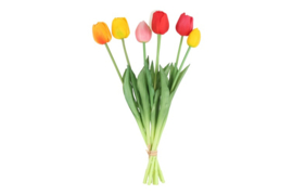 Bosje mix tulpen real touch