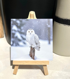 Fliese mit eule