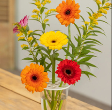 Bloemenschikker wit 10cm – duurzaam en creatief bloemschikken10cm