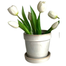 Bloempot met schotel
