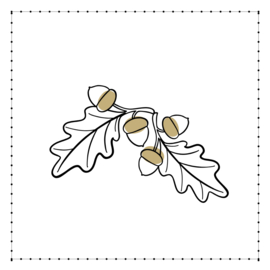 Vierkante wenskaart Eikeltjes van natuurkarton – 9,8 x 9,8 cm