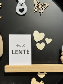 Magneet hartjes 3 stuks