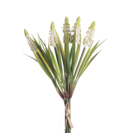 Witte druifjes