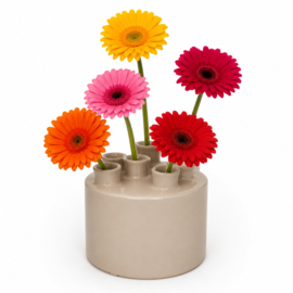 Tuitvaas Taupe met 6 Openingen – Ø12 x H10,5 cm