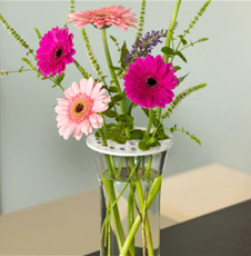 Bloemenschikker wit 10cm – duurzaam en creatief bloemschikken10cm