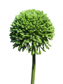 Kunstbloem Allium groen