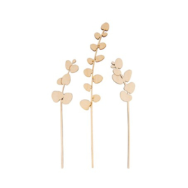 Eucalyptus takjes 3 stuks 15 en 20cm