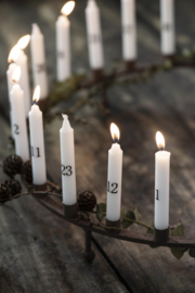 Advent potloodkaarsen 1 - 24 wit/zwart