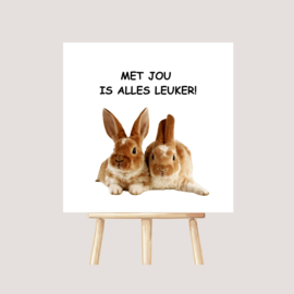 Tegeltje "Leuker"