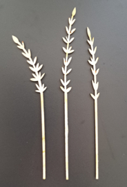 Lavendel takjes 3 stuks 17 en 20cm