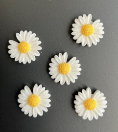 Magneet margrietjes 5 stuks