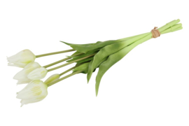 Bosje witte tulpen real touch