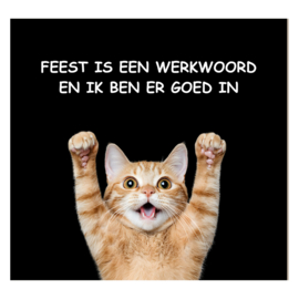 Tegeltje "Feest"