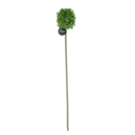 Kunstbloem Allium groen groot