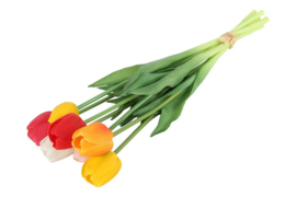 Bosje mix tulpen real touch