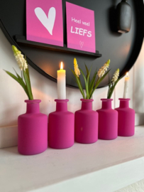 Vaasje fuchsia