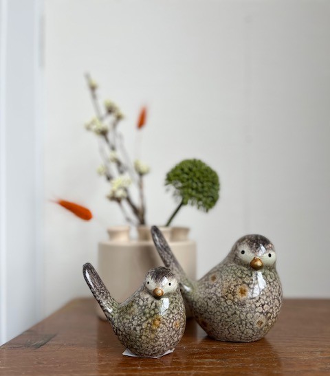 Vogel groot