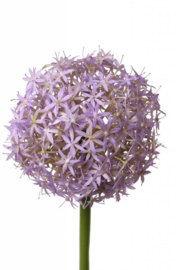 Kunstbloem Allium paars groot