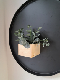 Magnetisch bakje hout