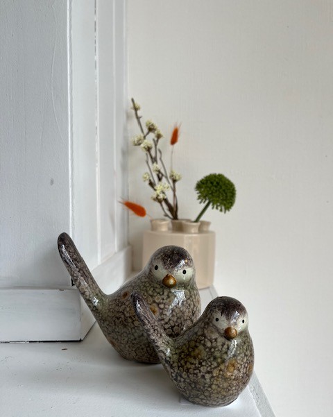 Vogel groot