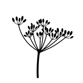 Tegeltje berenklauw 10 cm
