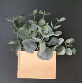 Magnetisch bakje hout