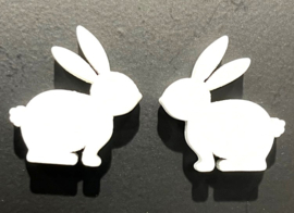 2 mini konijntjes wit